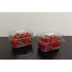 Lot de 2 barquettes de fraises 250g 