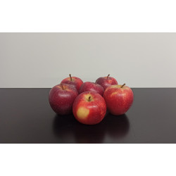 Pommes Gala 1kg environ