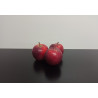 Pommes Gala 500g environ