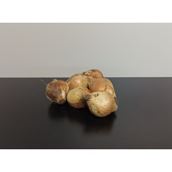 Oigons jaunes* Bio 500g 2 à 3 pièces environ