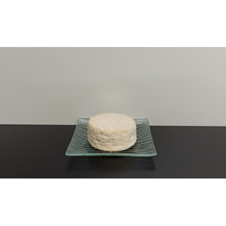 Fromage de Brebis mi frais