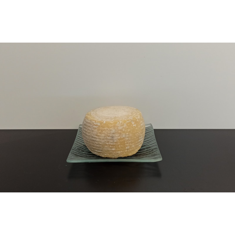 Tomette JEUNE de Brebis environ 600g