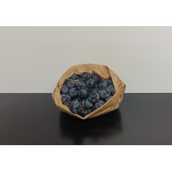 Raisin rouge Alphonse Lavallée 500g environ 