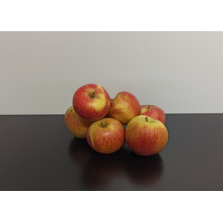 Pommes Bio Daliclass 1kg environ
