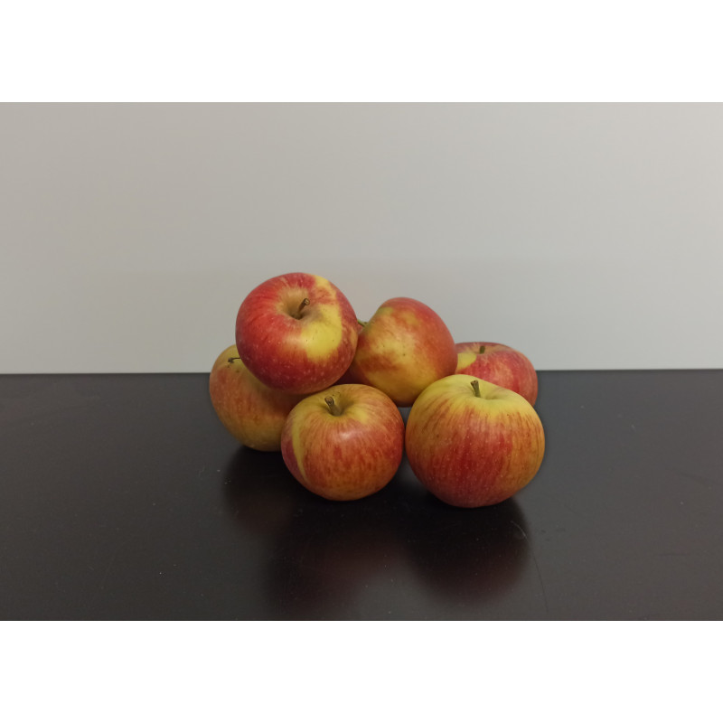 Pommes Bio Daliclass 1kg environ