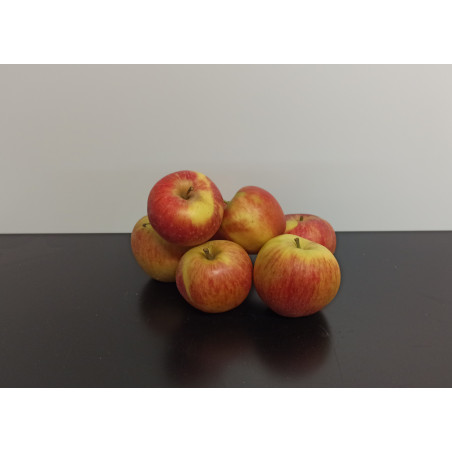 Pommes Bio Daliclass 1kg...