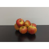 Pommes Bio Daliclass 1kg environ