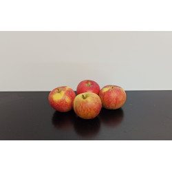 Pommes Bio Daliclass 500g environ