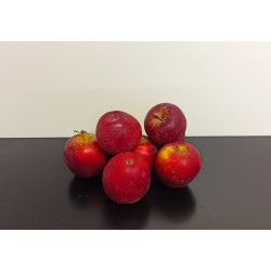 Pommes Bio Inobi 1kg environ