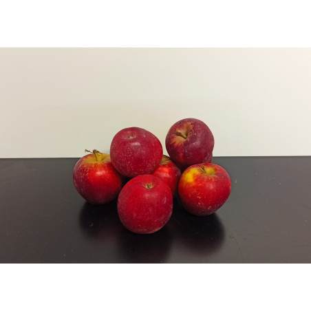 Pommes Bio Inobi 1kg environ