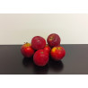 Pommes Bio Inobi 1kg environ