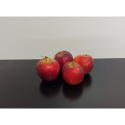 Pommes Bio Inobi 500g environ