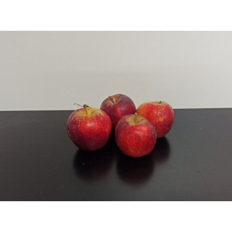 Pommes Bio Inobi 500g environ