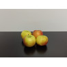 Pommes Pixie Bio 500g environ