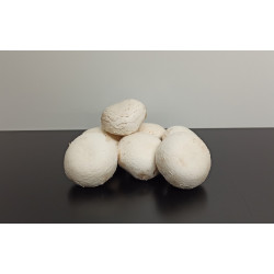 Champignons 500g environ 