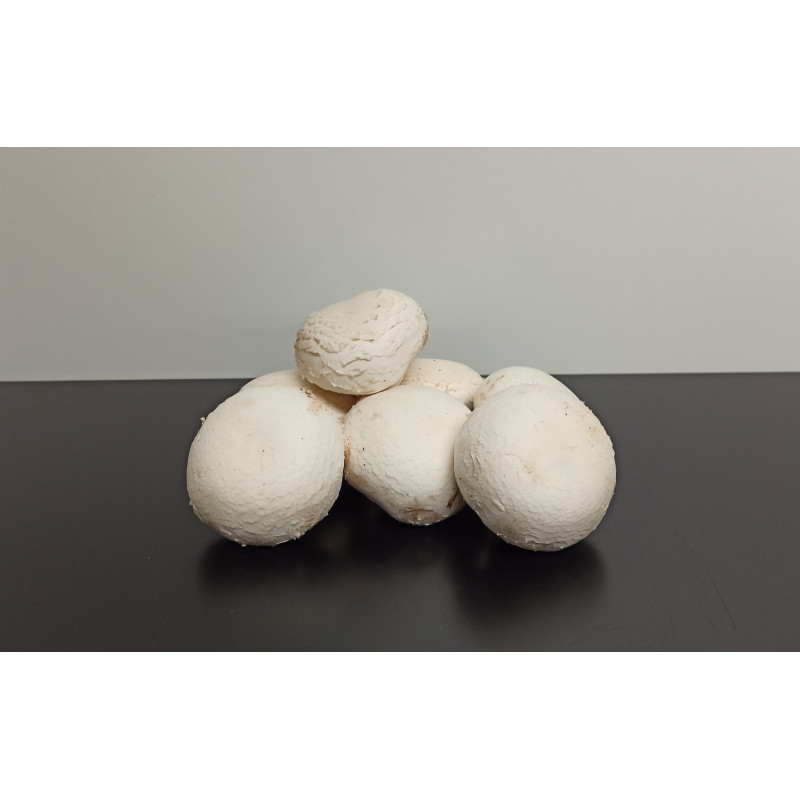 Champignons 500g environ 