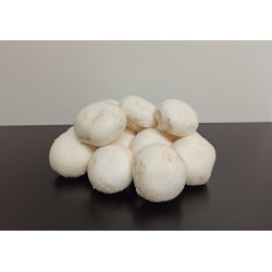 Champignons 1kg environ