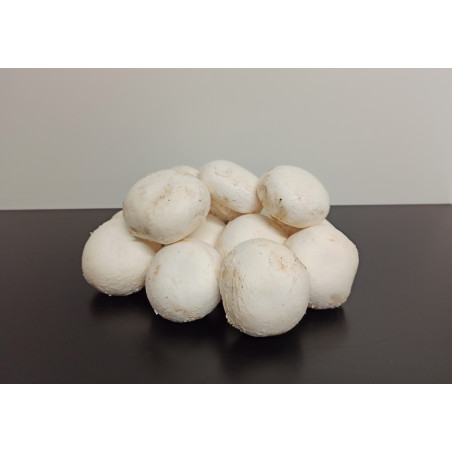 Champignons 1kg environ