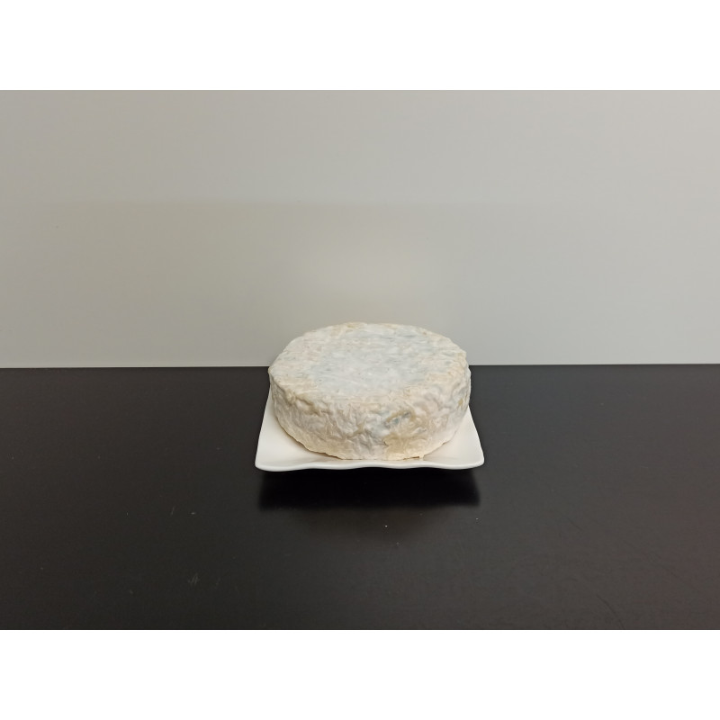 Camembert de brebis crémeux 250g environ