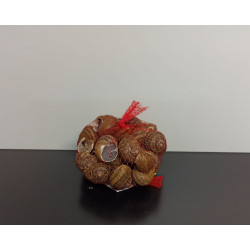 GROS Escargots Bio 40 PC