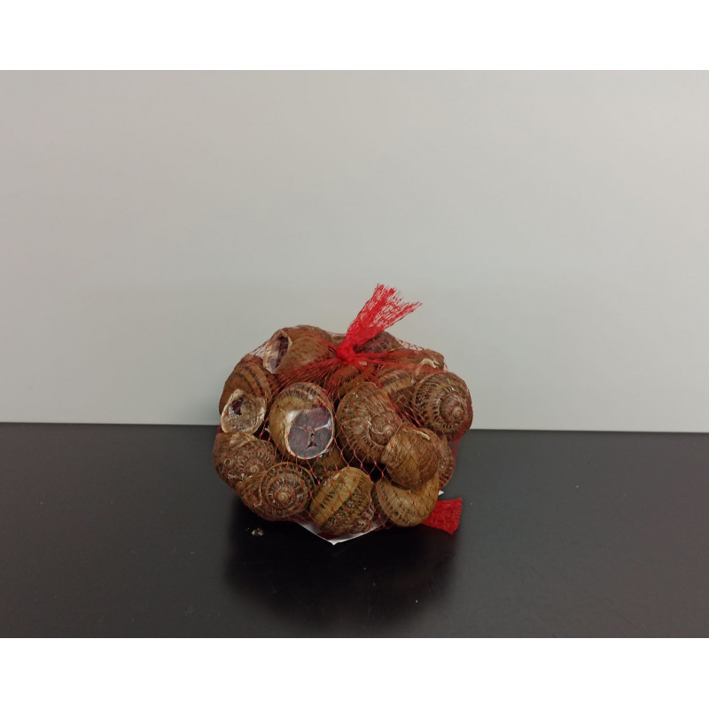 GROS Escargots Bio 40 PC