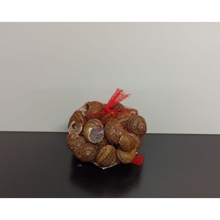 GROS Escargots Bio 40 PC