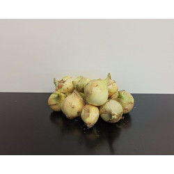 Oignons blancs 1kg environ