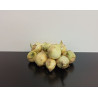 Oignons blancs 1kg environ
