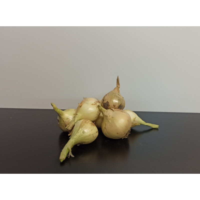 Oignons blancs 500g