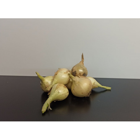 Oignons blancs 500g