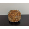 Pain Rustigraines Bio 500g environ