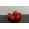 Tomates Rondes 1kg environ