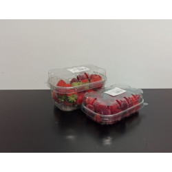 Lot 1 fraise 1 framboise