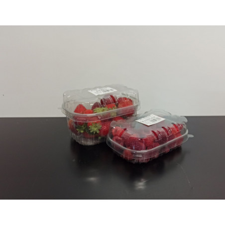 Lot 1 fraise 1 framboise