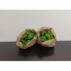 Lot de 2 x250g Padrons