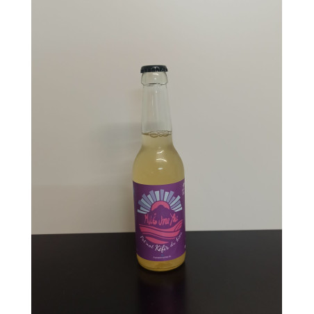 Kéfir au Sureau 33 cl