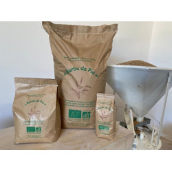 Farine Bio VRAC Barbu de Pia 1kg