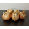 Oigons jaunes* Bio 1kg environ
