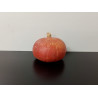 Potimarron* Bio 900g environ