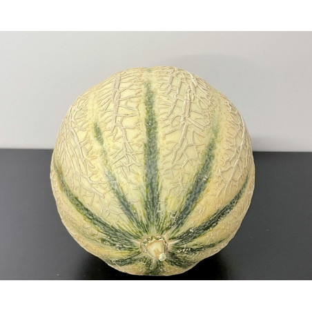 Melon 1.1 kg environ