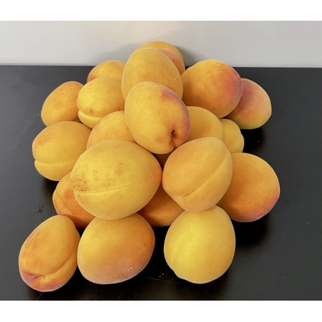 Abricots 1kg