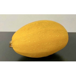 Courge Spaghetti Bio 1.2kg environ