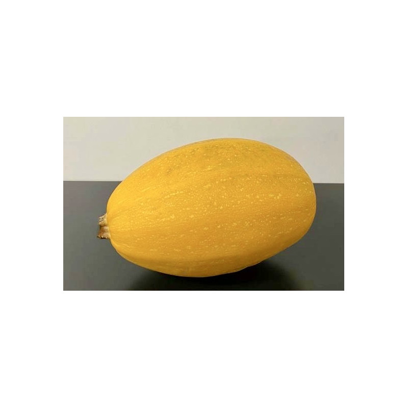 Courge Spaghetti Bio 1.2kg environ