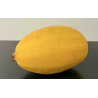 Courge Spaghetti Bio 1.2kg environ