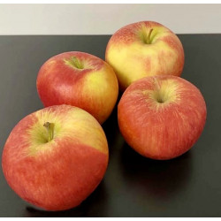 Pommes Bio Daliclass 1kg environ