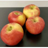 Pommes Bio Daliclass 1kg environ