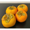 Kakis pomme 1kg environ