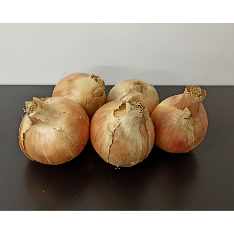 Oigons jaunes* Bio 500g 2 à 3 pièces environ