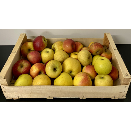 Mélange de pomme de saison 5kg