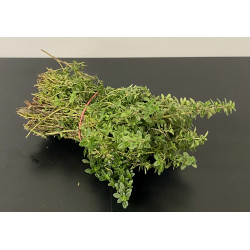 Botte de Thym citron 0.80€